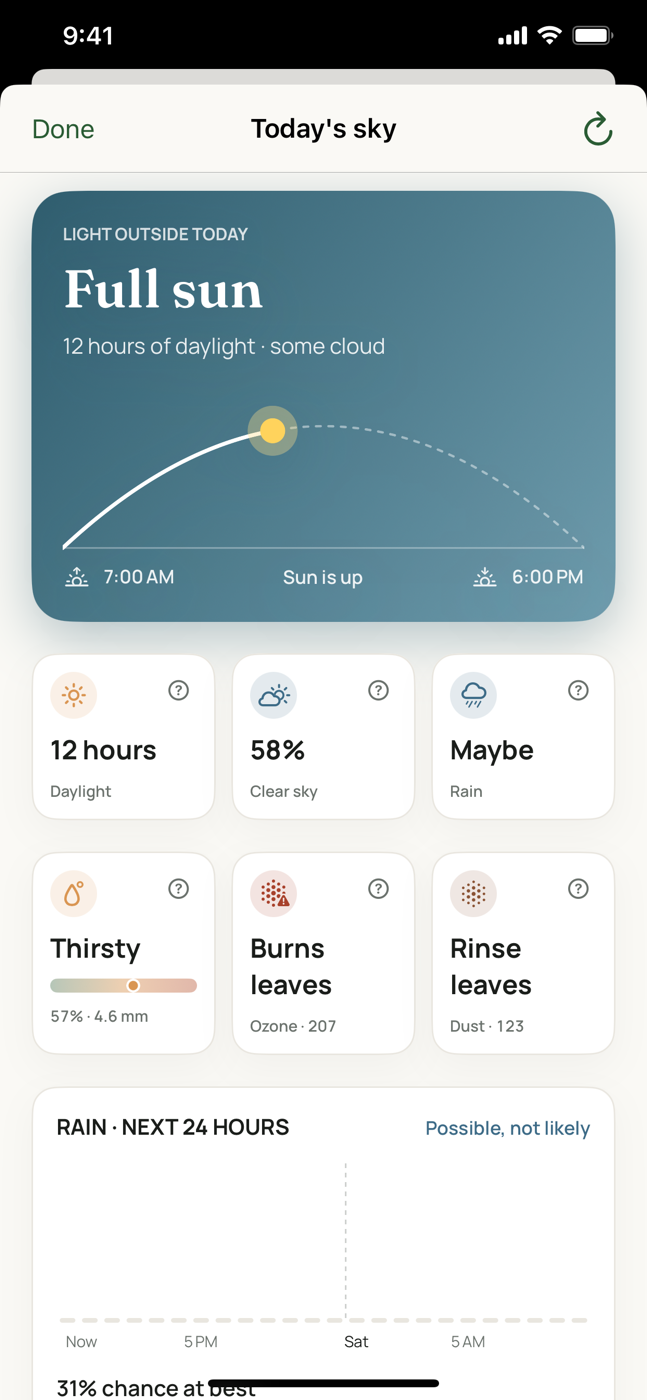 Today's sky in Leafed: daylight, clear sky, rain, the air's thirst, ozone and dust — each with what it means for a plant